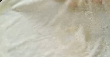 Homemade Samosa & Spring Roll Wraps