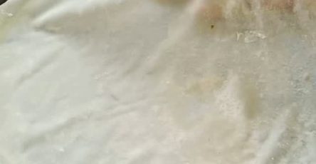 Homemade Samosa & Spring Roll Wraps