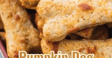 Paws-itively Pumpkin: Homemade Dog Treats Your Pup Will Adore