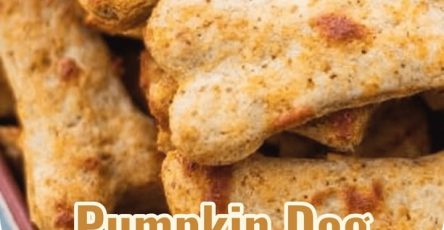 Paws-itively Pumpkin: Homemade Dog Treats Your Pup Will Adore