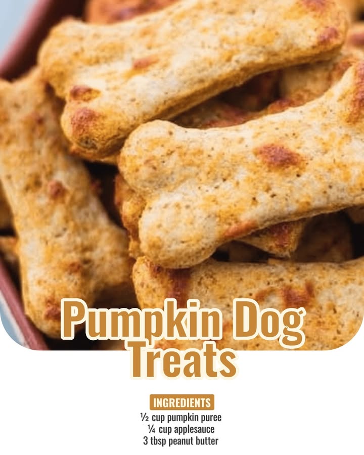 Paws-itively Pumpkin: Homemade Dog Treats Your Pup Will Adore